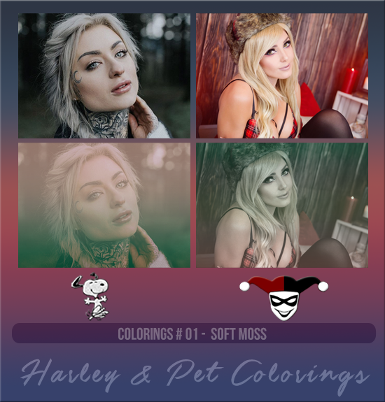 HARLEY & PET #001 [SOFT MOSS]
