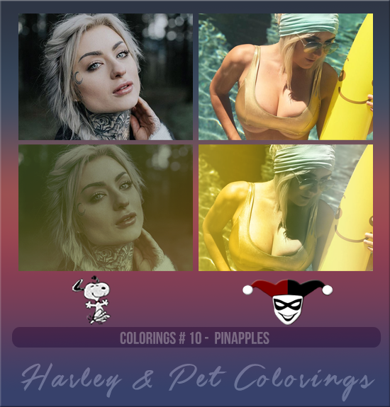 HARLEY & PET #010 [PINAPPLES]
