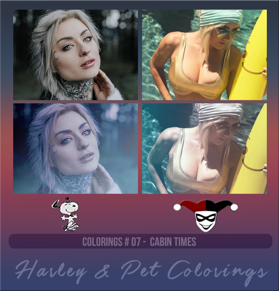 HARLEY & PET #007 [CABIN TIMES]
