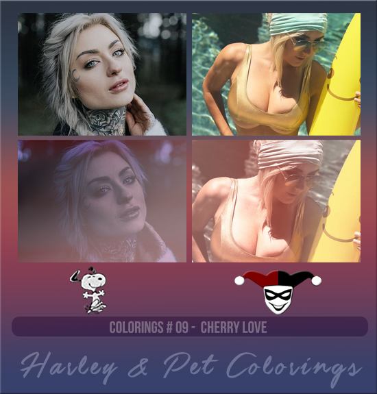 HARLEY & PET #009 [CHERRY LOVE]
