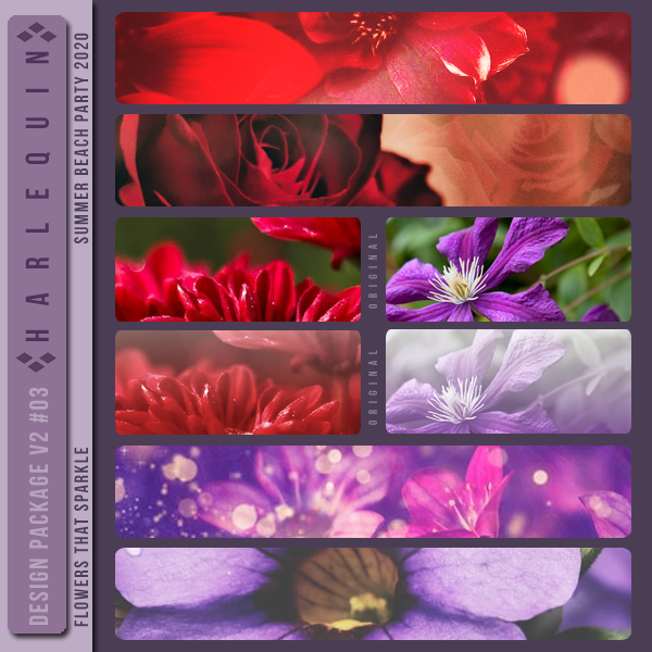 DESIGN PACKAGE V2 #003  [FLOWERS THAT SPARKLE]
