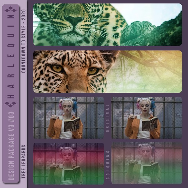 DESIGN PACKAGE V3 #003  [TREE LEOPARDS]
