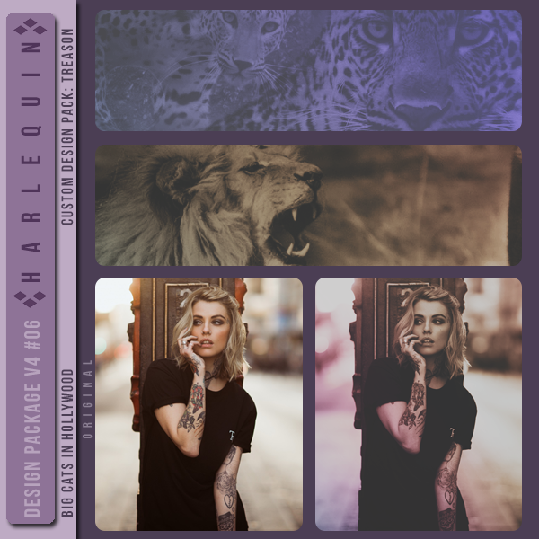 DESIGN PACKAGE V4 #006 [BIG CATS IN HOLLYWOOD]
(CUSTOM DESIGN PACK 2022: TREASON)
