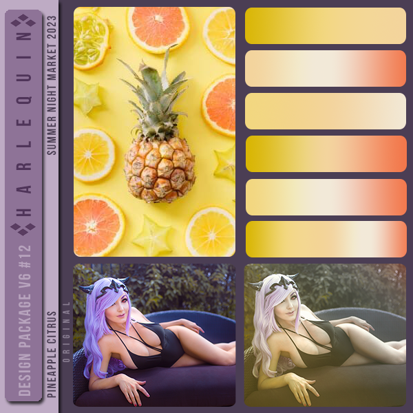 DESIGN PACKAGE V6 #012 [PINEAPPLE CITRUS] 
AVAILABLE AUGUST 2024 (SUMMER NIGHT MARKET 2023)

