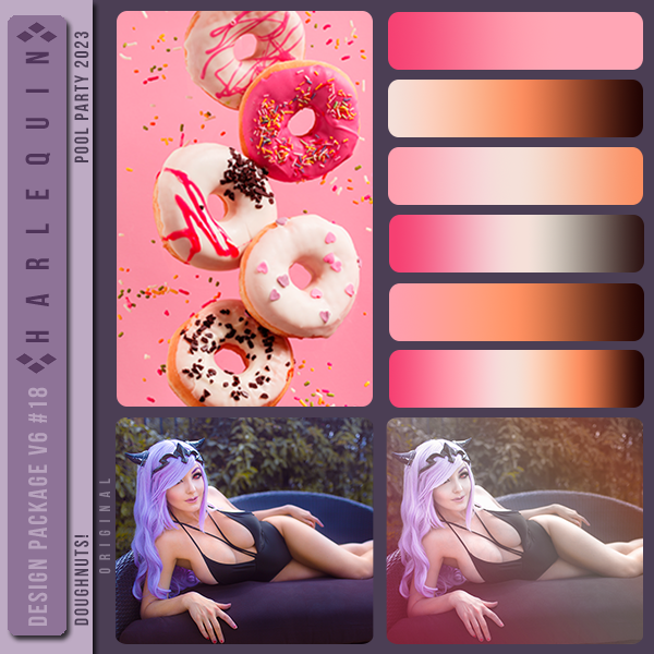 DESIGN PACKAGE V6 #018 [DOUGHNUTS!] 
AVAILABLE AUGUST 2024 (POOL PARTY 2023)
