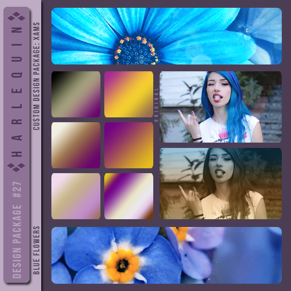 DESIGN PACKAGE #027  [BLUE FLOWERS]
