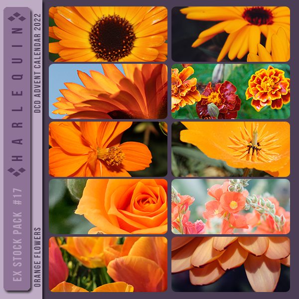 EXCLUSIVE STOCK PACK #017 [ORANGE FLOWERS]
AVAILABLE DECEMBER 2023 (DCD ADVENT CALENDAR 2022)
