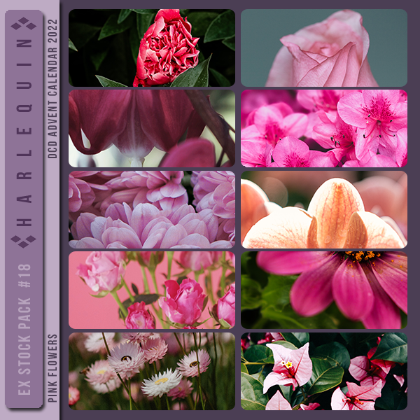 EXCLUSIVE STOCK PACK #018 [PINK FLOWERS]
AVAILABLE DECEMBER 2023 (DCD ADVENT CALENDAR 2022)
