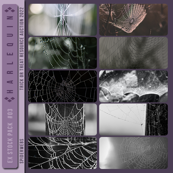 EXCLUSIVE STOCK PACK #003 [SPIDERWEBS]
(TRICK OR TREAT RESOURCE AUCTION 2023)
