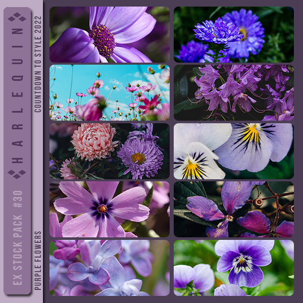 EXCLUSIVE STOCK PACK #030 [PURPLE FLOWERS]
AVAILABLE DECEMBER 2023 (COUNTDOWN TO STYLE 2023)
