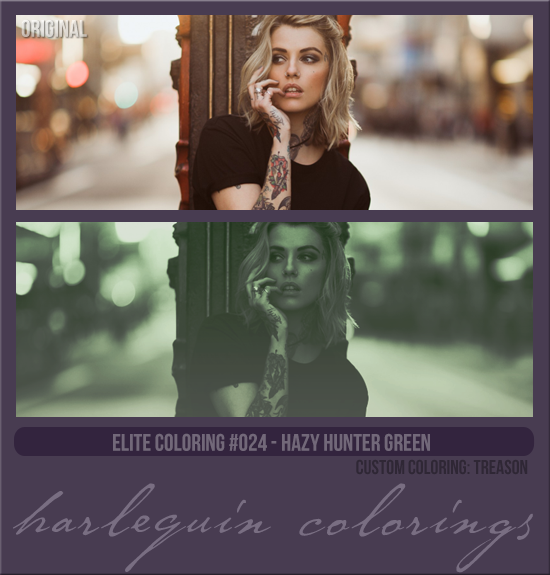 ELITE COLORING #024 [HAZY HUNTER GREEN]
CUSTOM COLORING: TREASON 2022
