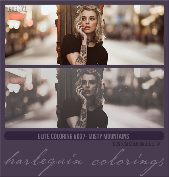 ELITE COLORING #037 [MISTY MOUNTAINS]
CUSTOM COLORING: DETTA 2023
AVAILABLE MAY 1ST 2024
