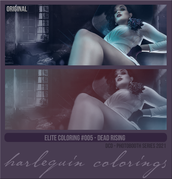 ELITE COLORING #005 [DEAD RISING]
PHOTOBOOTH 2021
