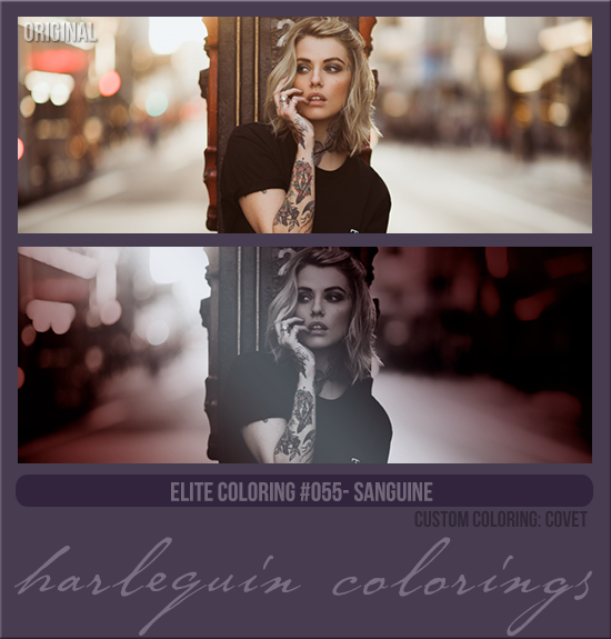 ELITE COLORING #055 [SANGUINE]
CUSTOM COLORING: COVET 2023
AVAILABLE MAY 1ST 2024
