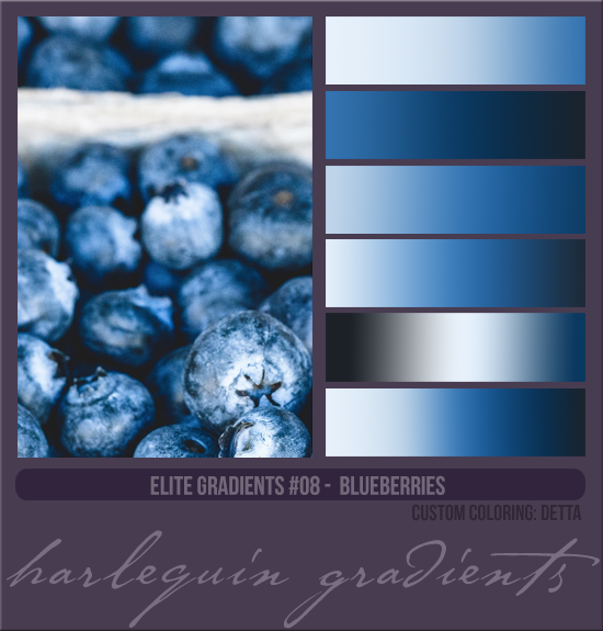 ELITE GRADIENTS #008 [BLUEBERRIES]
AVAILABLE MAY 2024 (CUSTOM: DETTA)
