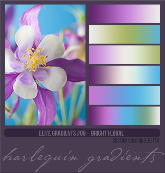 ELITE GRADIENTS #009 [BRIGHT FLORAL]
AVAILABLE MAY 2024 (CUSTOM: DETTA)
