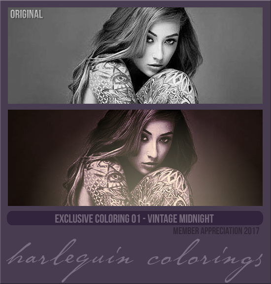 EXCLUSIVE COLORING #001 [VINTAGE MIDNIGHT]
