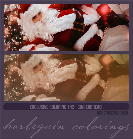 EXCLUSIVE COLORING #142  [GINGERBREAD]
