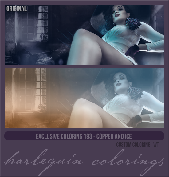 EXCLUSIVE COLORING #193 [COPPER AND ICE]
