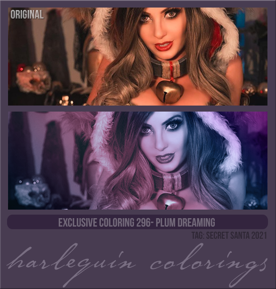 EXCLUSIVE COLORING #296 [PLUM DREAMING]
(TAG SECRET SANTA 2022)
