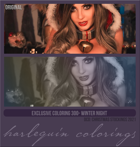 EXCLUSIVE COLORING #300 [WINTER NIGHT]
