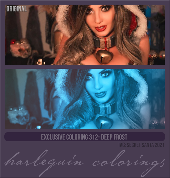 EXCLUSIVE COLORING #312 [DEEP FROST]
(TAG SECRET SANTA 2021)
