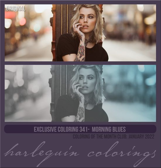 EXCLUSIVE COLORING #341 [MORNING BLUES]
AVAILABLE DECEMBER 2023 (Coloring of the Month Club 2022)
