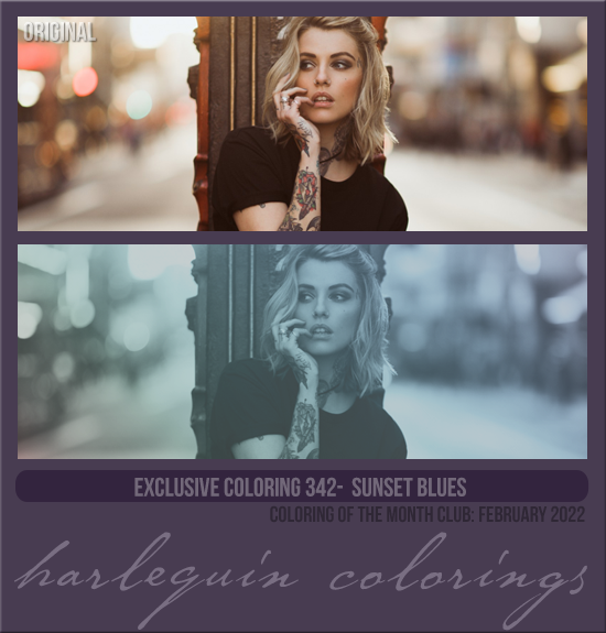 EXCLUSIVE COLORING #342 [SUNSET BLUES]
AVAILABLE DECEMBER 2023 (Coloring of the Month Club 2022)
