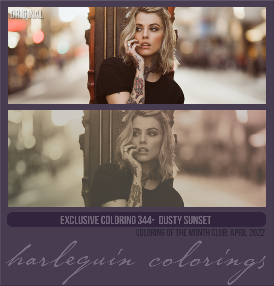 EXCLUSIVE COLORING #344 [DUSTY SUNSET]
AVAILABLE DECEMBER 2023 (Coloring of the Month Club 2022)
