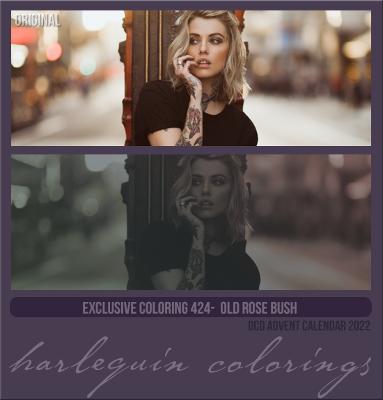 EXCLUSIVE COLORING #424 [OLD ROSE BUSH] 
AVAILABLE APRIL 2023 (ADVENT CALENDAR 2022)
