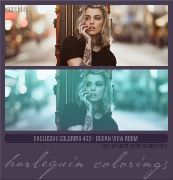 EXCLUSIVE COLORING #432 [OCEAN VIEW ROOM] 
AVAILABLE JANUARY 2023 (MEMBERS APPRECIATION 2022)
