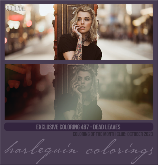 EXCLUSIVE COLORING #487 [DEAD LEAVES]
AVAILABLE DECEMBER 2024 (Coloring of the Month Club 2023)
