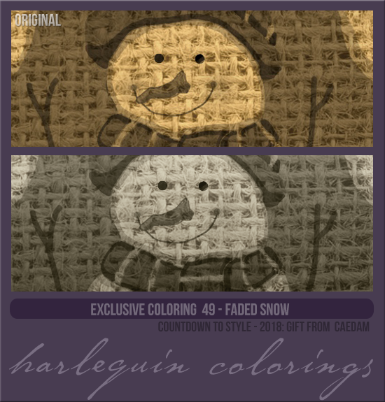 EXCLUSIVE COLORING #049  [FADED SNOW]
