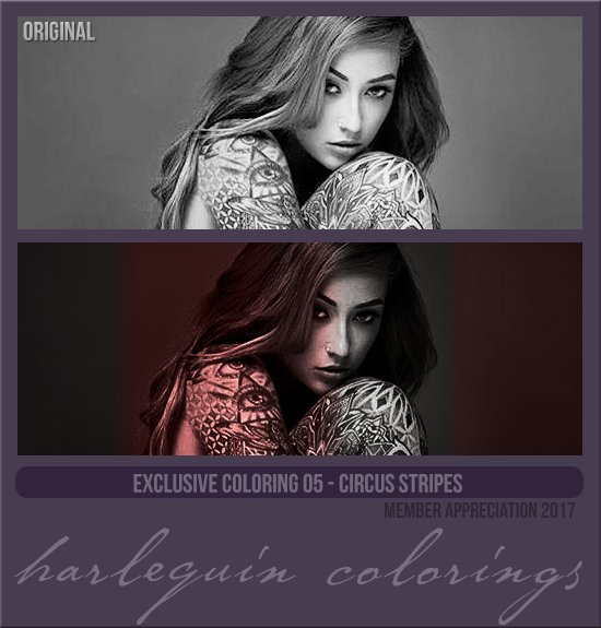 EXCLUSIVE COLORING #005  [CIRCUS STRIPES]
