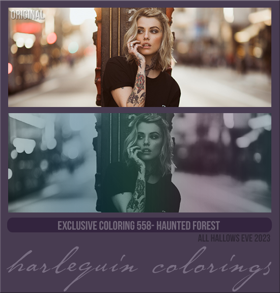 EXCLUSIVE COLORING #558 [HAUNTED FOREST]
AVAILABLE OCTOBER 2024 (ALL HALLOWS EVE 2023)
