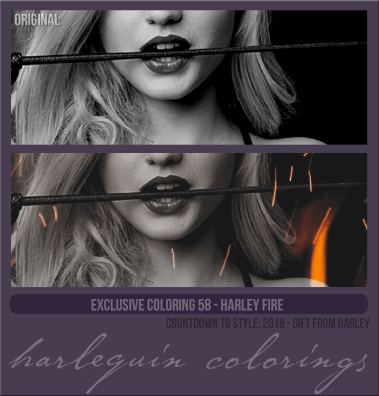 EXCLUSIVE COLORING #058  [HARLEY FIRE]
