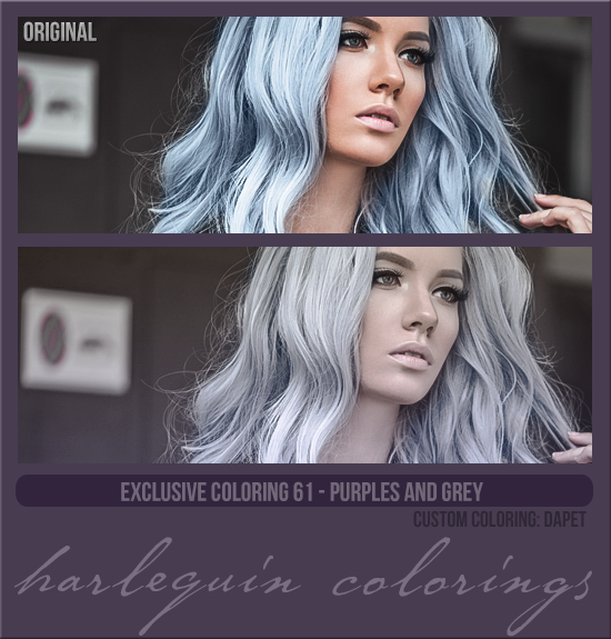 EXCLUSIVE COLORING #061  [PURPLES AND GREY]
