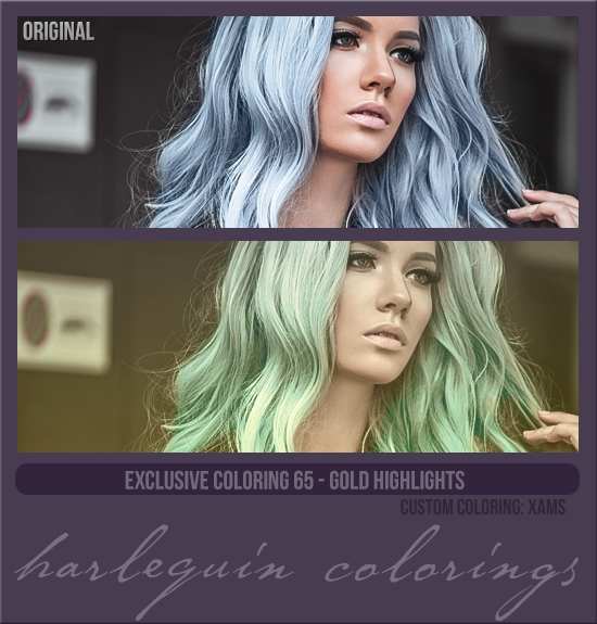 EXCLUSIVE COLORING #065  [GOLD HIGHLIGHTS]
