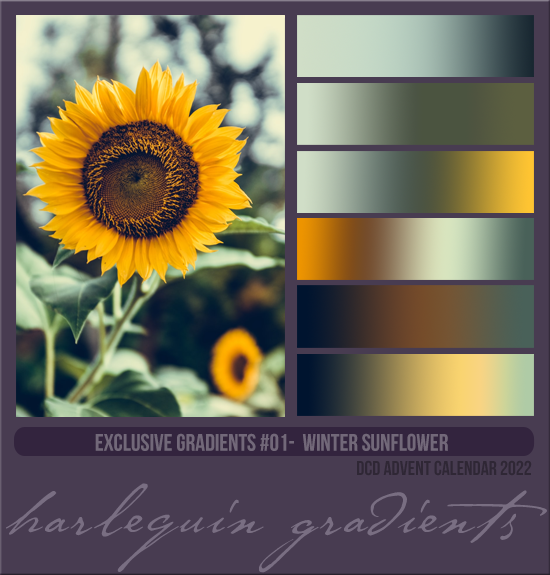 EXCLUSIVE GRADIENTS #001 [WINTER SUNFLOWER]
(DCD ADVENT CALENDAR 2022)
