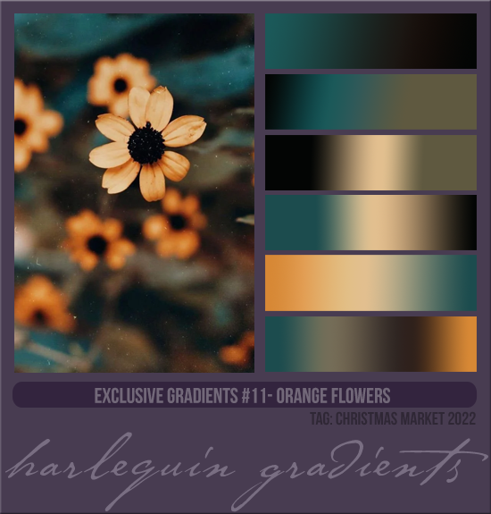 EXCLUSIVE GRADIENTS #011 [ORANGE FLOWERS]
AVAILABLE DECEMBER 2023 (TAG CHRISTMAS MARKET 2022)
