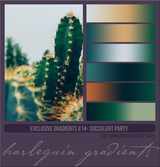 EXCLUSIVE GRADIENTS #014 [SUCCULENT PARTY]
AVAILABLE DECEMBER 2023 (TAG CHRISTMAS MARKET 2022)
