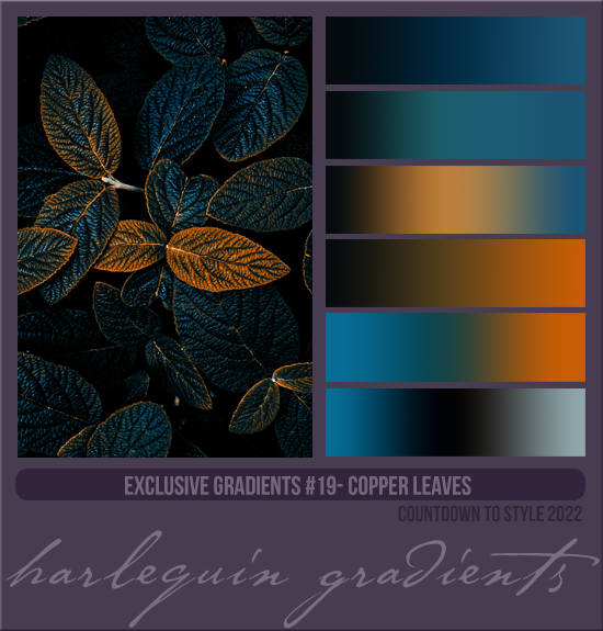 EXCLUSIVE GRADIENTS #019 [COPPER LEAVES]
AVAILABLE DECEMBER 2023 (COUNTDOWN TO STYLE 2022)
