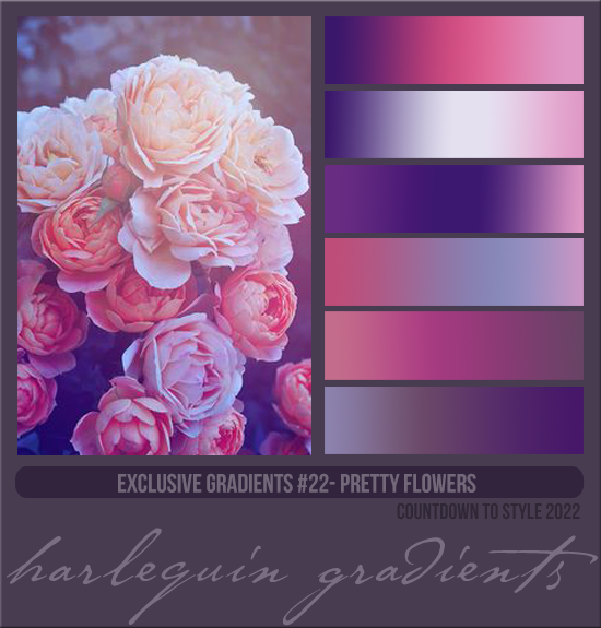 EXCLUSIVE GRADIENTS #022 [PRETTY FLOWERS]
AVAILABLE DECEMBER 2023 (COUNTDOWN TO STYLE 2022)
