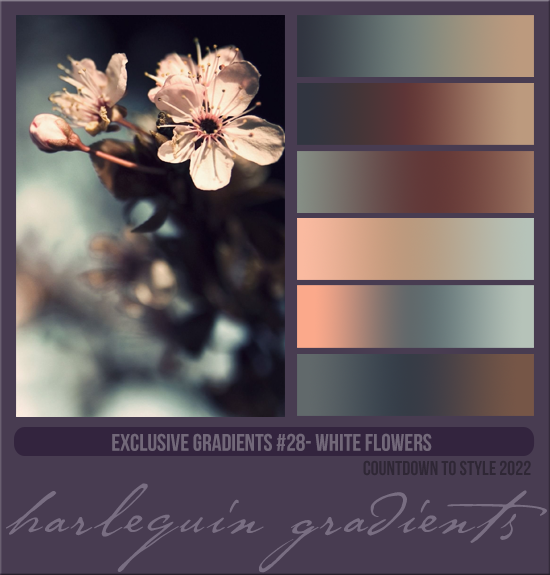 EXCLUSIVE GRADIENTS #028 [WHITE FLOWERS]
AVAILABLE DECEMBER 2023 (COUNTDOWN TO STYLE 2022)
