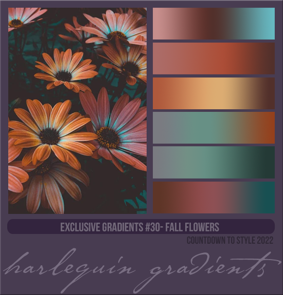 EXCLUSIVE GRADIENTS #030 [FALL FLOWERS]
AVAILABLE DECEMBER 2023 (COUNTDOWN TO STYLE 2022)
