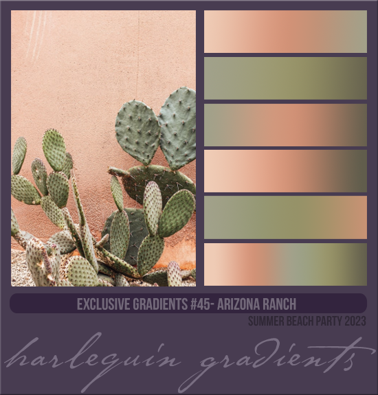 EXCLUSIVE GRADIENTS #045 [ARIZONA RANCH]
AVAILABLE AUGUST 2024 (SUMMER BEACH PARTY 2023)

