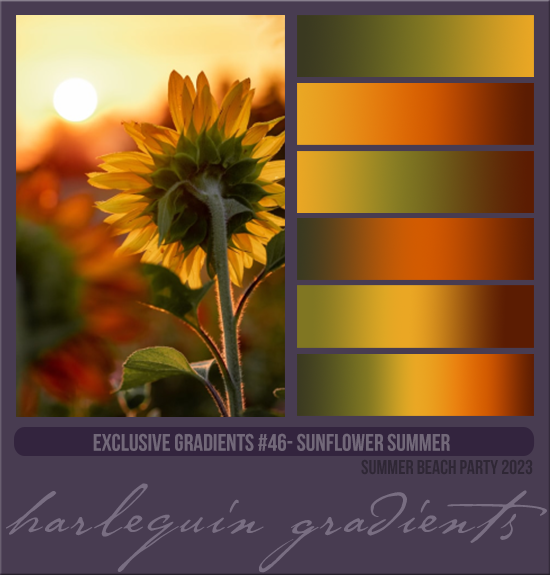 EXCLUSIVE GRADIENTS #046 [SUNFLOWER SUMMER]
AVAILABLE AUGUST 2024 (SUMMER BEACH PARTY 2023)
