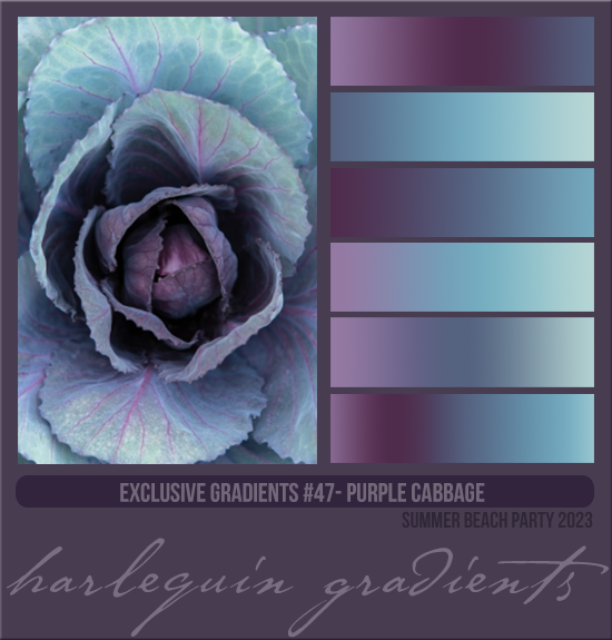 EXCLUSIVE GRADIENTS #047 [PURPLE CABBAGE]
AVAILABLE AUGUST 2024 (SUMMER BEACH PARTY 2023)
