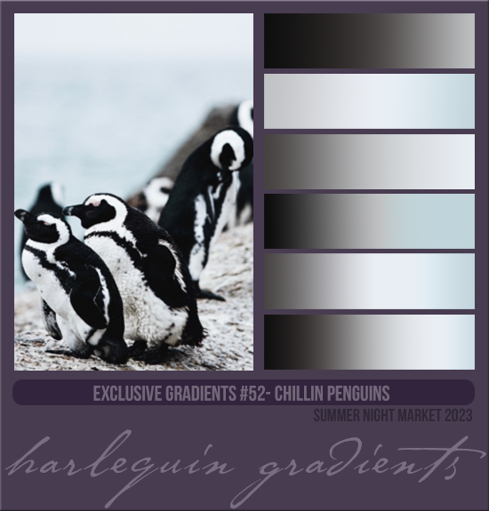 EXCLUSIVE GRADIENTS #052 [CHILLIN PENGUINS]
AVAILABLE AUGUST 2024 (SUMMER NIGHT MARKET 2023)
