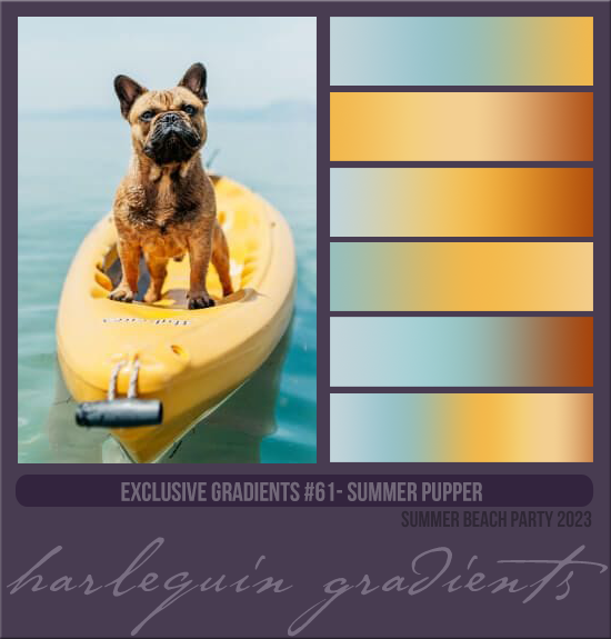 EXCLUSIVE GRADIENTS #061 [SUMMER PUPPER]
AVAILABLE AUGUST 2024 (SUMMER BEACH PARTY 2023)
